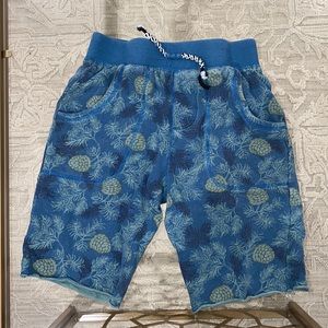 Peek boy’s Santiago knit pull on sweat shorts size 10 elastic waistband